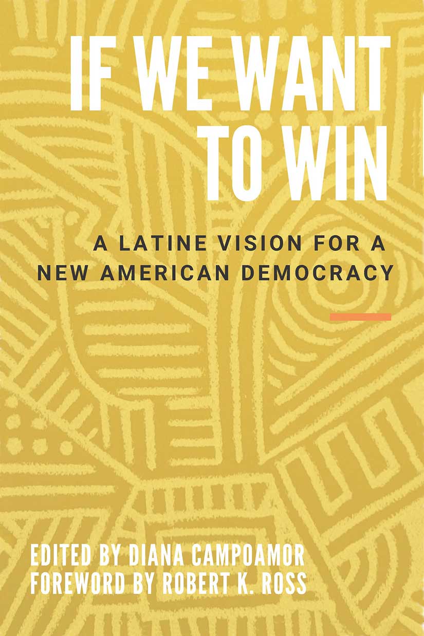 If We Want To Win Book Cover (Medium)